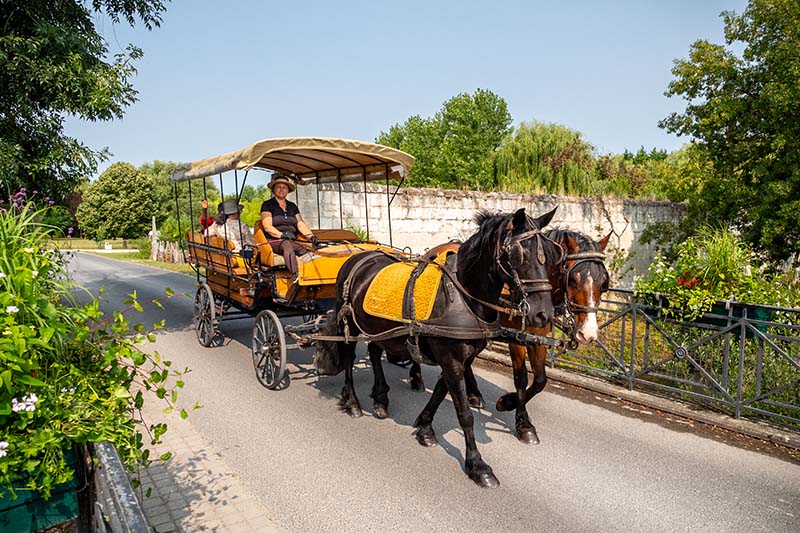 Location attelage chevaux, Loches