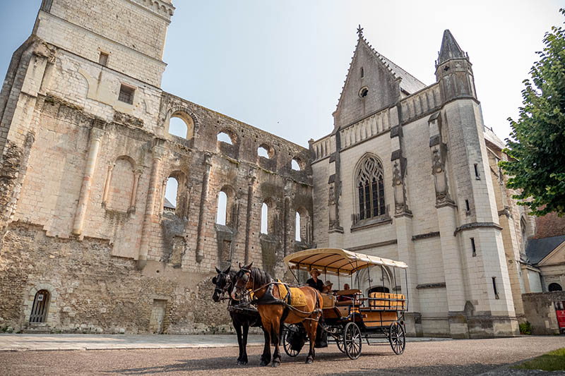 Location attelage chevaux, Loches