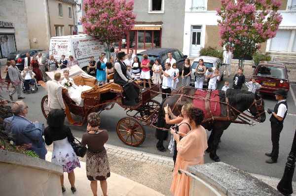 Elevage de chevaux Tours