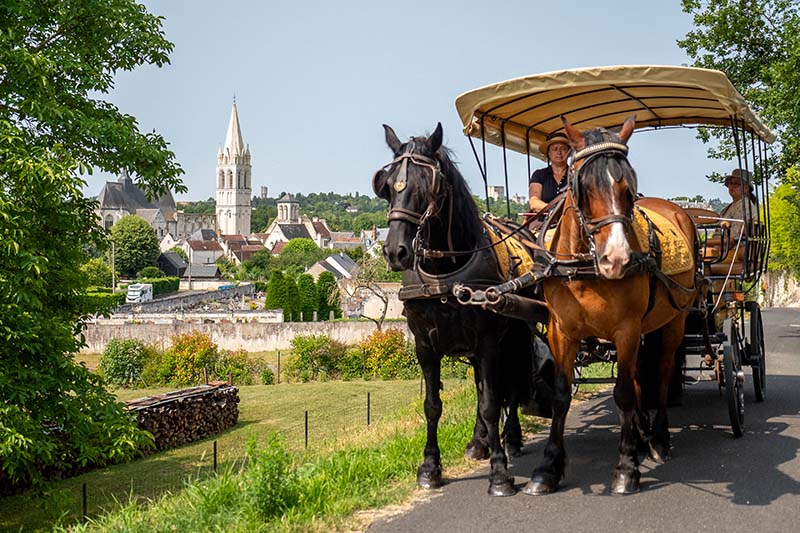 Location attelage chevaux, Loches