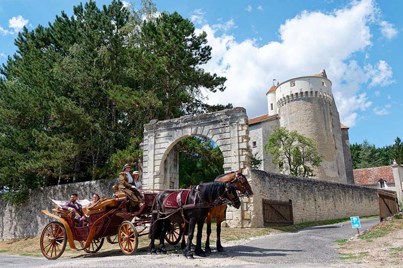 Location attelage chevaux, Loches